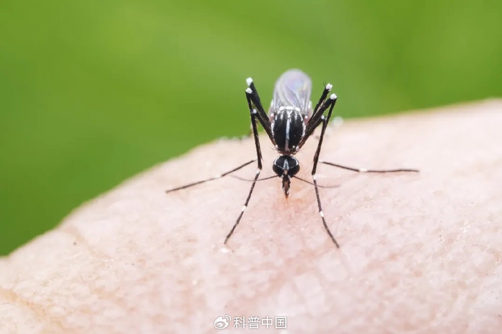 广东哪些地区疫情少了呢/广东哪里没疫情-第2张图片