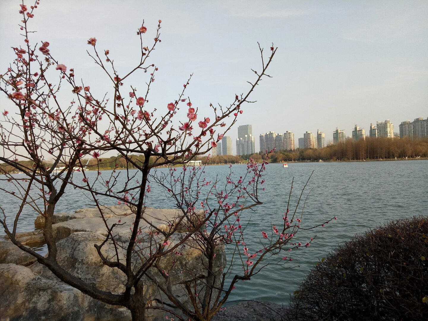 上海浦东花木地区疫情.上海浦东新区花木镇？-第2张图片
