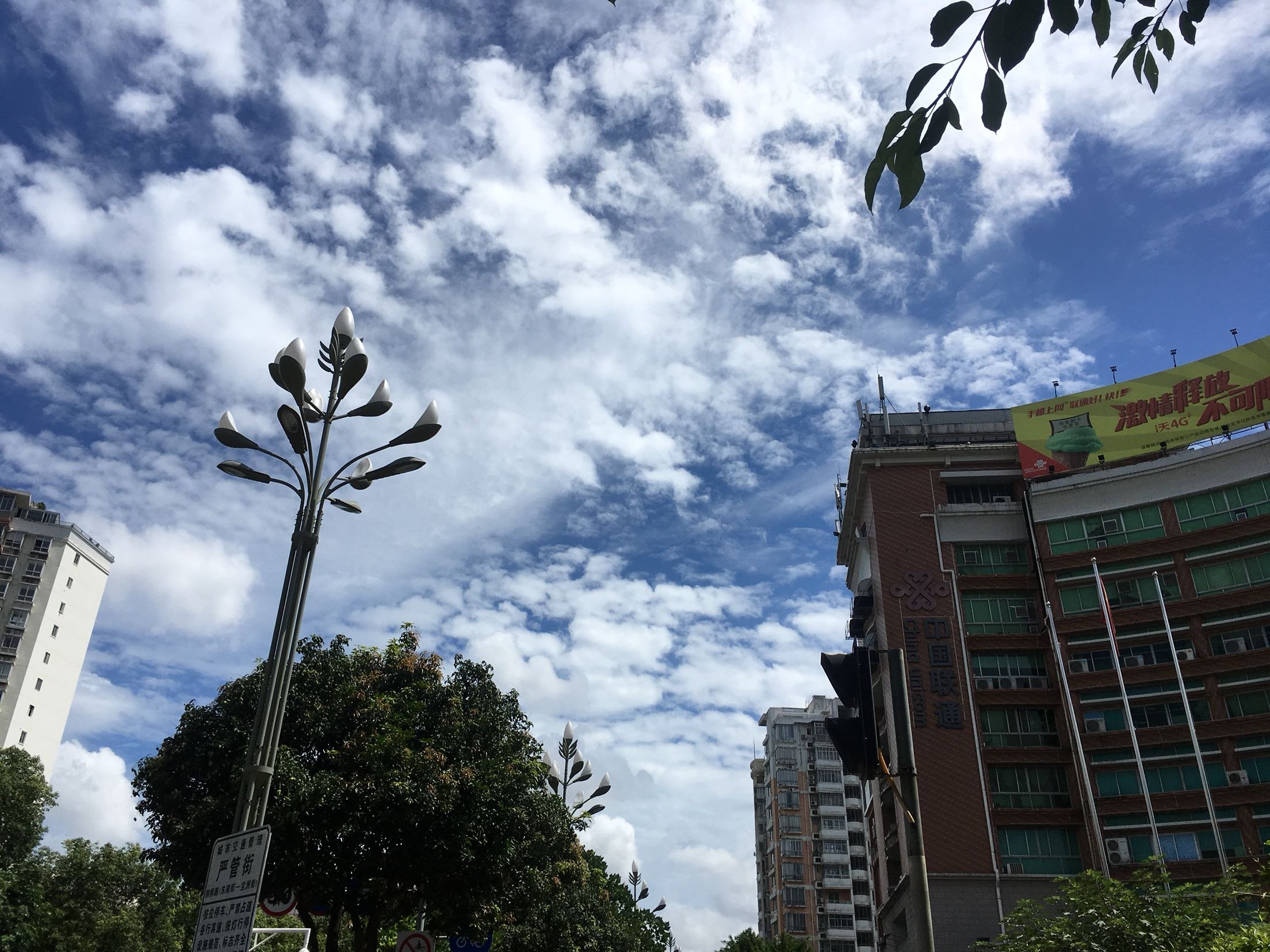 泉州丰泽有无疫情地区(泉州丰泽区疫情风险等级)-第1张图片