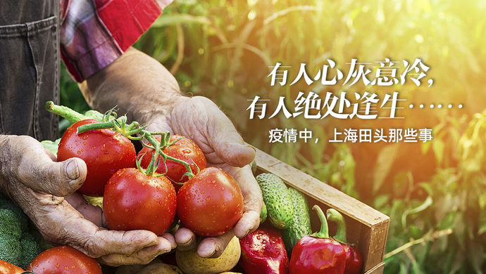 上海疫情解除地区有哪些.上海疫情期解除到几号结束？-第2张图片