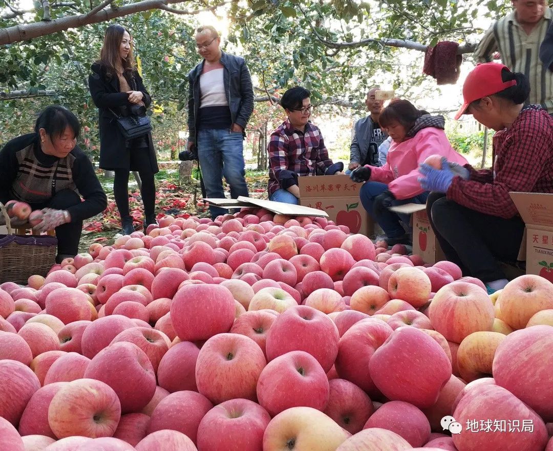陕西哪个市没疫情地区(陕西那边现在有疫情吗)-第2张图片