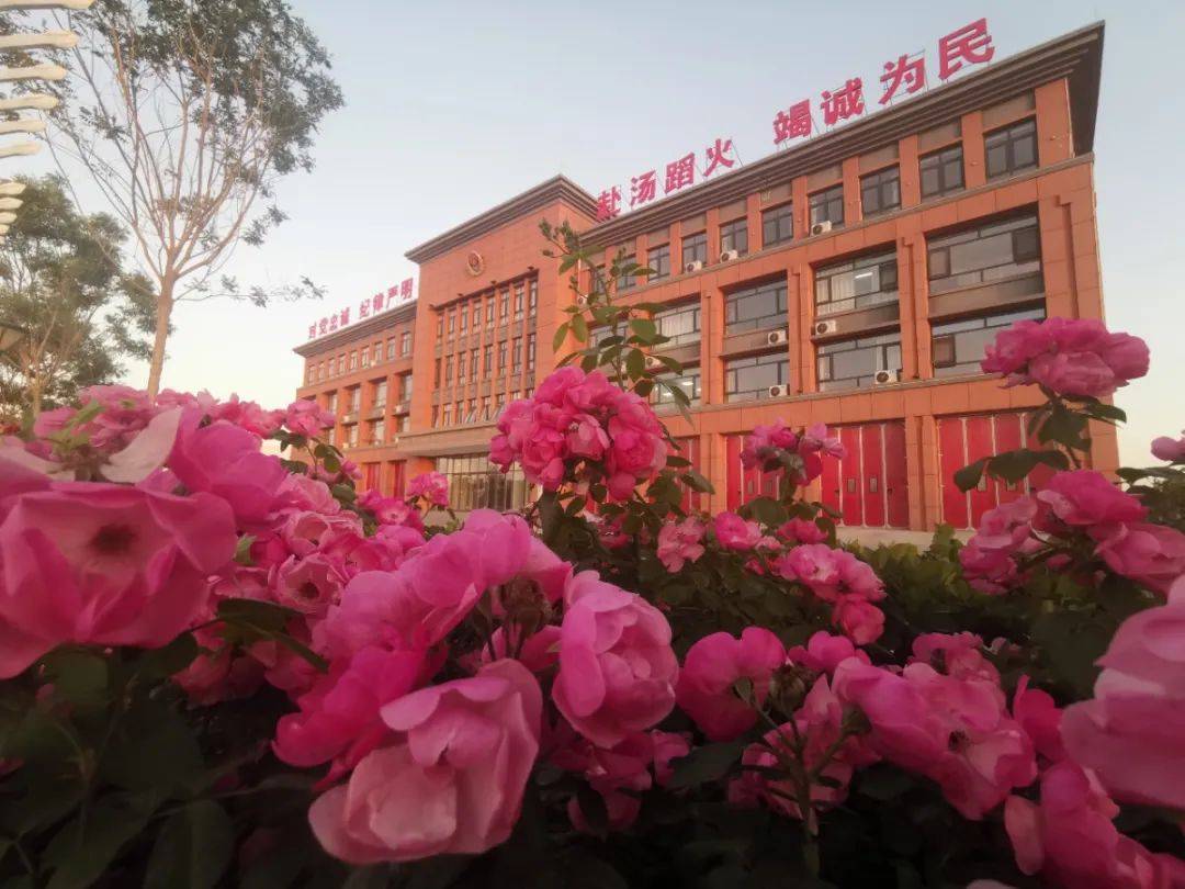 河北深州哪个地区有疫情.河北深州哪个地区有疫情发生？-第3张图片