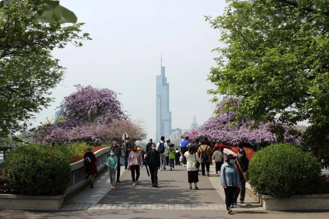 【疫情阻挡地区脚步的句子,疫情阻挡了出行的脚步的短句】-第2张图片