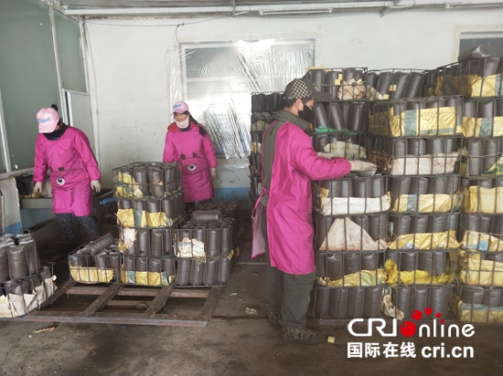 阿尔山地区疫情政策最新(阿尔山疫情防控措施)-第1张图片