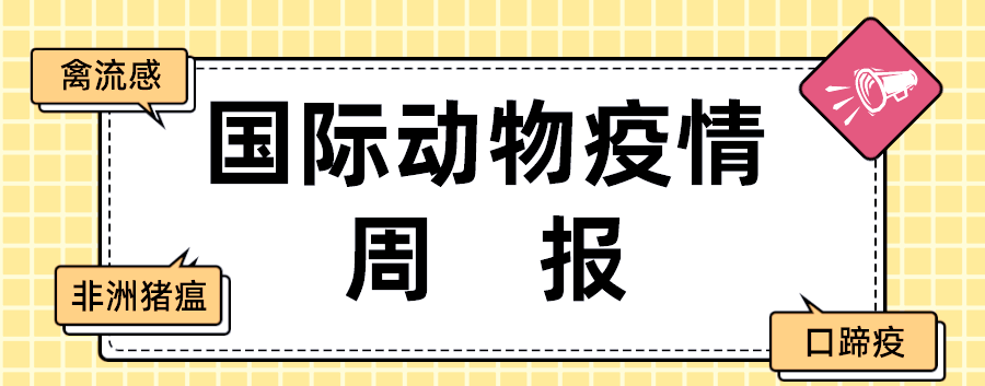 哪些地区存在猪瘟疫情.哪些地方有猪瘟疫情最新消息?-第3张图片