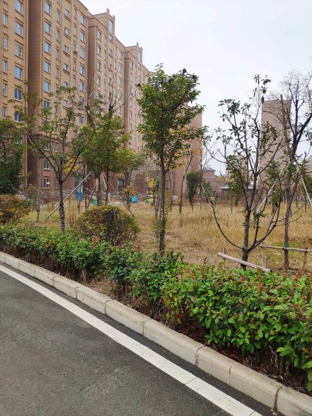 泉城花都地区有疫情吗.泉城花都二手房？-第1张图片