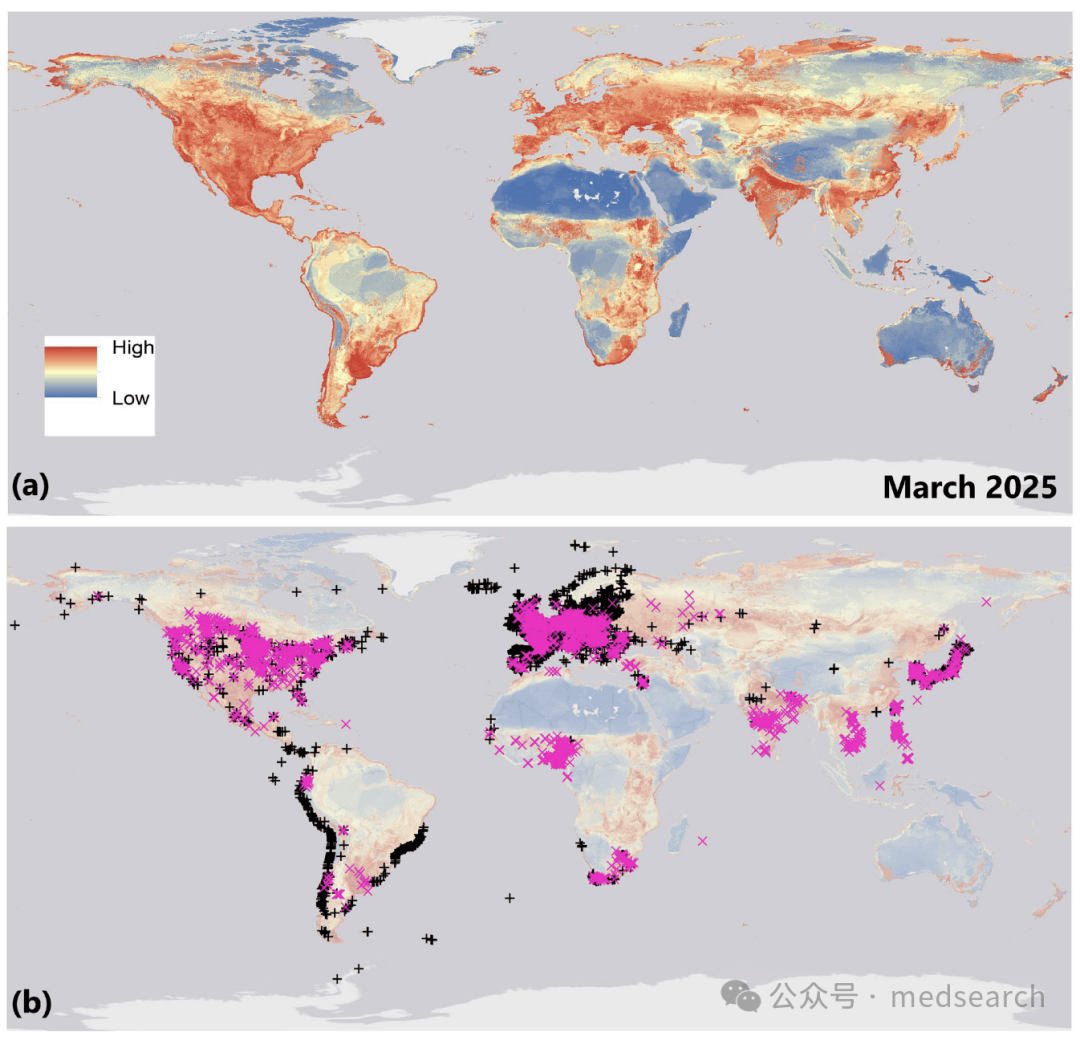 疫情主要传播地区有哪里(疫情传播地区分布图)-第2张图片