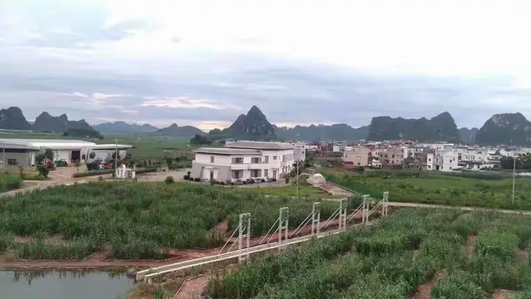 风险地区查询扶绥疫情(扶绥封城的通知)-第2张图片