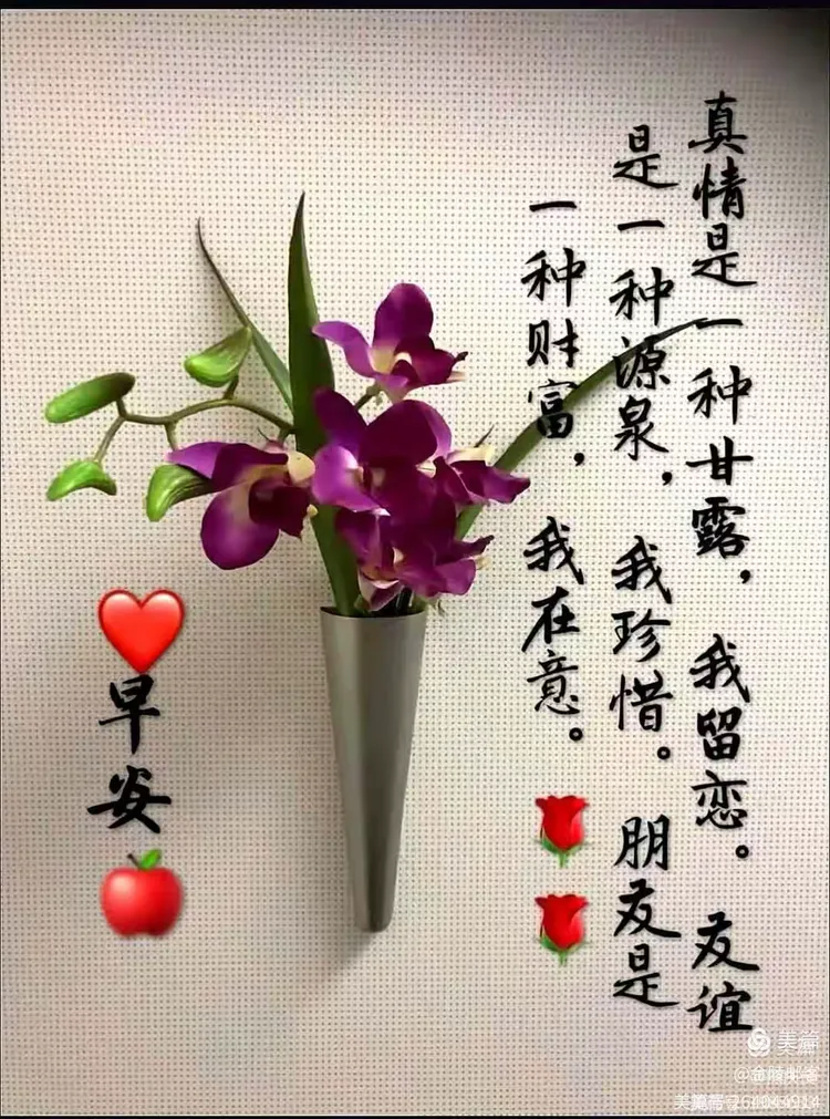 【对疫情地区朋友的问候,对疫情地区朋友的问候语怎么说】-第3张图片