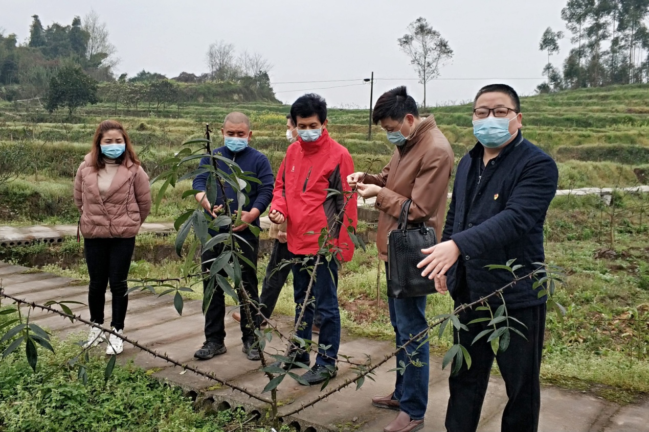 【璧山疫情地区有哪些,璧山疫情防控最新消息】-第2张图片