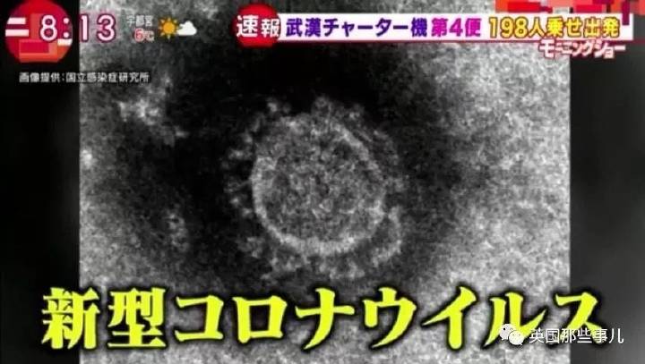 日本疫情最少的地区排名.日本疫情最少的城市？-第1张图片